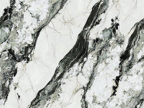 Modern Marble Jane One Marble Brazil Panda White