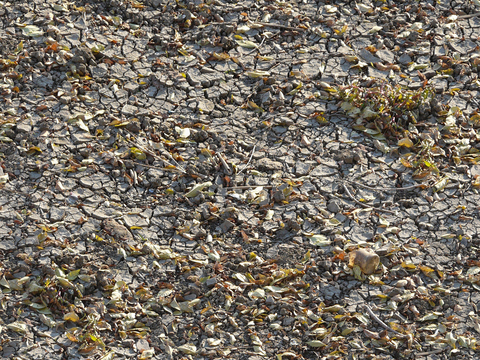 Seamless drought cracking sand soil road ground