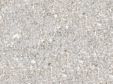 Seamless gray white rough concrete cement texture paint wall