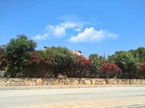 Blue Sky Country Landscape Scenery