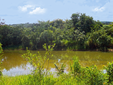 Blue Sky Country River Landscape Scenery