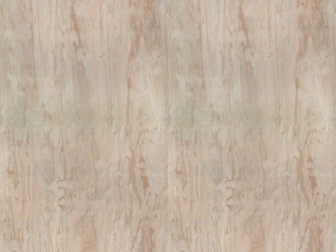 Fraxinus mandshurica wood grain