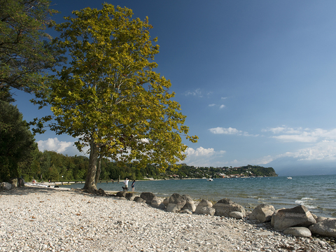 Lake surface sea landscape landscape