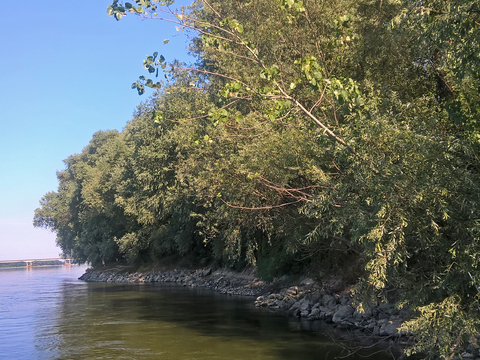 Blue Sky Country River Landscape Scenery