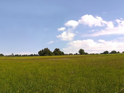 Blue Sky Country Field Landscape Landscape