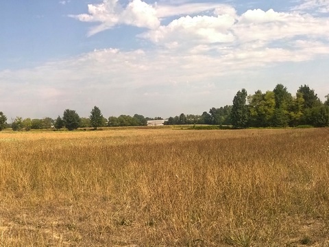 Blue Sky Country Field Landscape Landscape