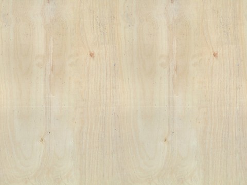 Fraxinus mandshurica wood grain