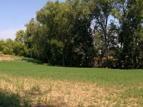 Blue Sky Country Field Landscape Landscape