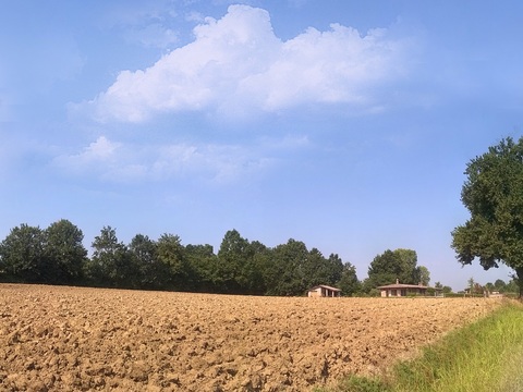 Blue Sky Country Field Landscape Landscape