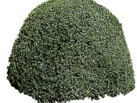 Pit-free landscape plant shrub ball