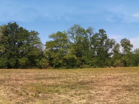 Blue Sky Country Field Landscape Landscape