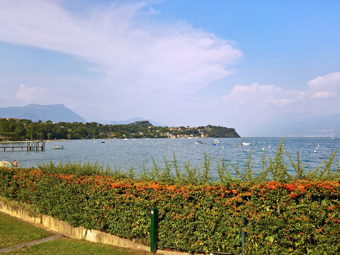 Lake surface sea landscape landscape