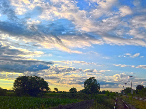 Railway Landscape