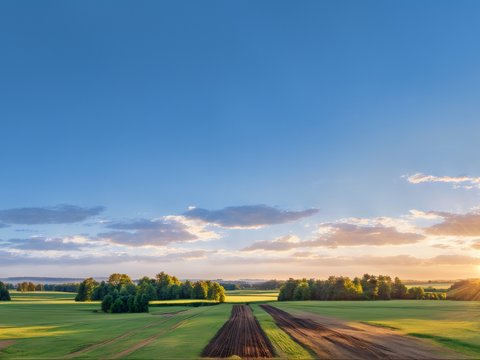 Outdoor Grass Scenery