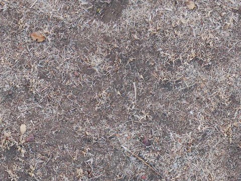 Seamless yellow dead branches and deciduous leaves turf grass lawn road ground