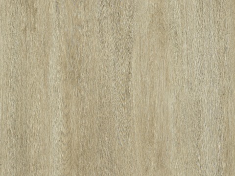 Oak wood grain