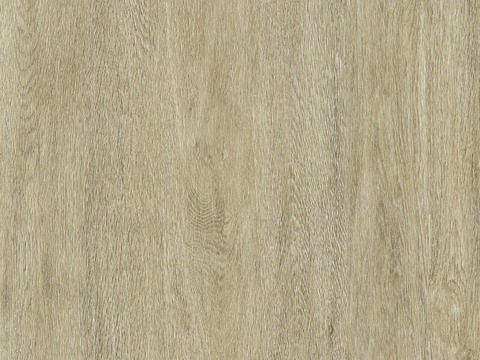 Oak wood grain