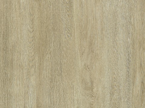 Oak wood grain