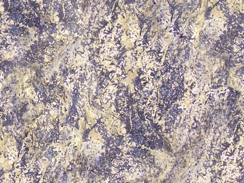 seamless gray marble stone rock slab tile