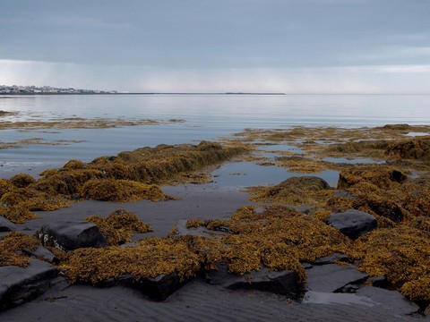 Seaside Scenery