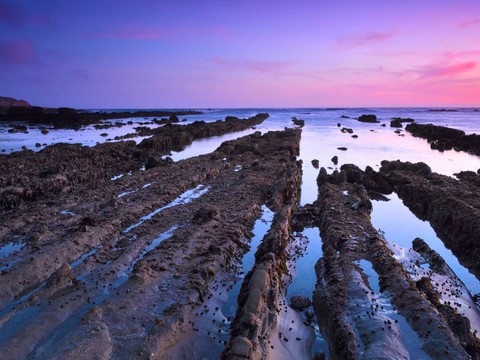 Seaside Scenery