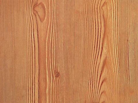 Wood grain