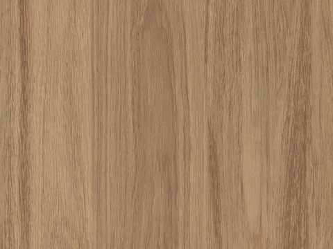 Holy elephant walnut wood veneer