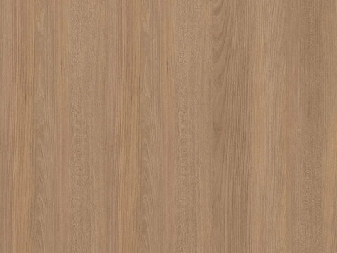 Seamless light oak wood grain wood veneer