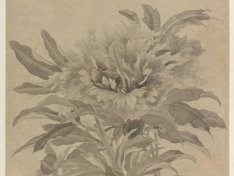 Chinese Ancient Painting Traditional Chinese Painting Peony