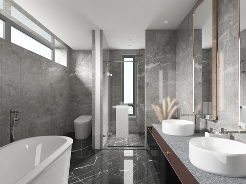 Tang Zhonghan Modern Toilet Bathroom