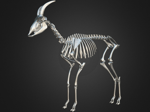 Skeleton Sculpture Goat Skeleton Ornaments