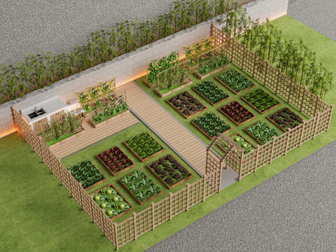 Modern Vegetable Planting Garden Courtyard Vegetable Garden