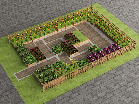 Modern vegetable garden vegetable field planting area