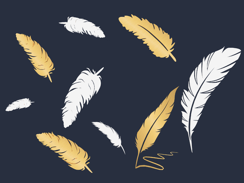 Feather wall silhouette Icon