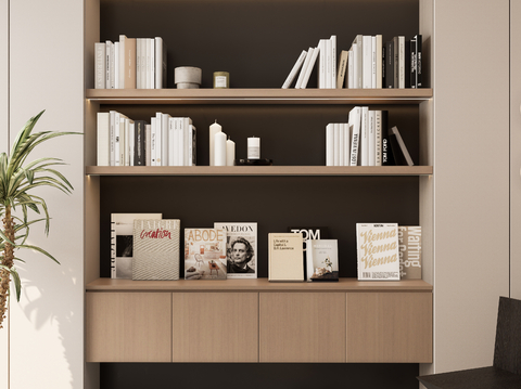 Modern Book Shelf