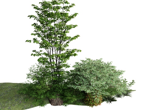 Modelling shrubs pruning shrubs landscape trees