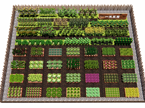 Country Vegetable Garden