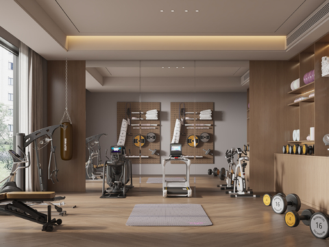 Modern minimalist gym fitness equipment