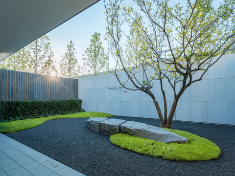 Modern Courtyard Garden