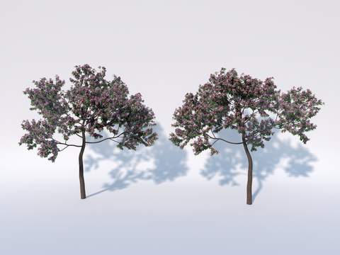 Modern Street Trees Landscape Trees Cherry Blossom Trees Peach Blossom Trees