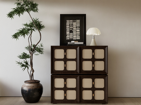 Wabi-sabi Style Side Cabinet Rattan Cabinet