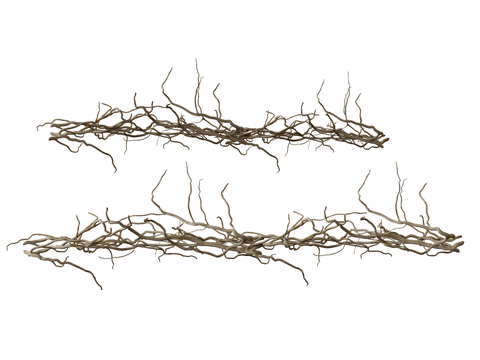 withered vine wooden stick wooden vine