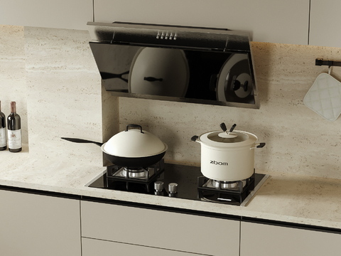 Range hood gas stove