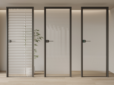 Modern single door glass door