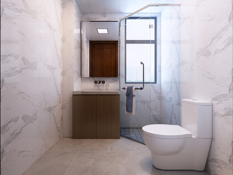 Modern Toilet Bathroom