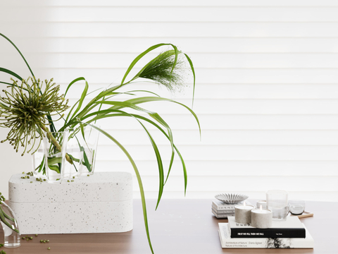 Desktop Ornaments Vase Green Plant Book Candle