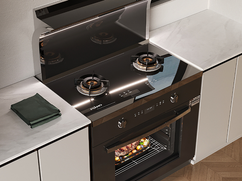 Modern integrated stove range hood gas stove