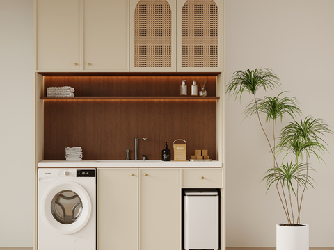 Middle Style Balcony Cabinet Laundry Cabinet