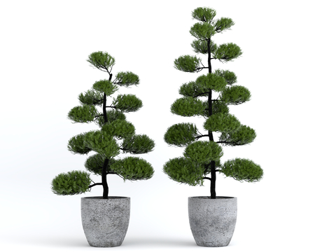 potted plant modeling tree