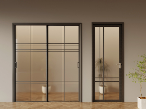 Modern glass door